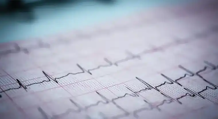 What Are the Differences Between EKGs & Echocardiograms