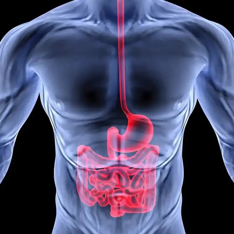 Digital Imaging has Revealed Bowel Abnormalities Associated with COVID-19