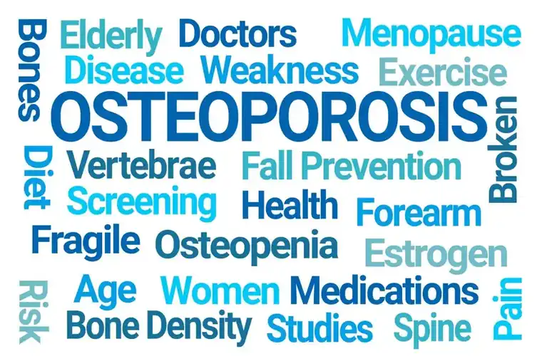 Bone Density Scans, Hollywood Diagnostics